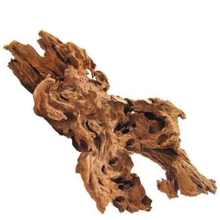 Philippines Classic Driftwood - drzewo mangrowca z wody L 30cm - 40cm | Idealne do akwarium słodkowodnego