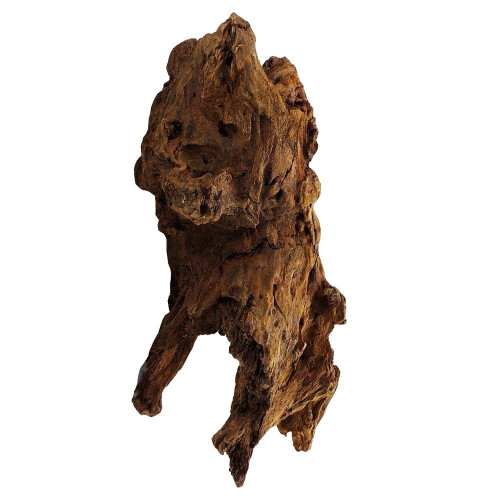 Philippines Classic Driftwood - drzewo mangrowca z wody L 30cm - 40cm | Idealne do akwarium słodkowodnego