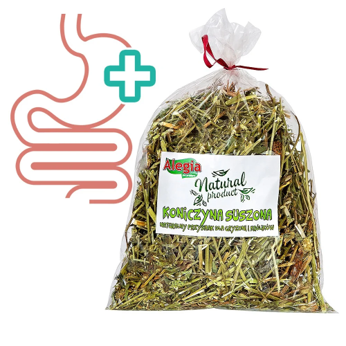 Alegia koniczyna suszona 100g - Naturalny przysmak dla królików i gryzoni