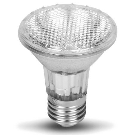 Repti-Zoo Halogen grzewczy z UVA 50W - Naturalne UVA i stabilne ciepło dla gadów