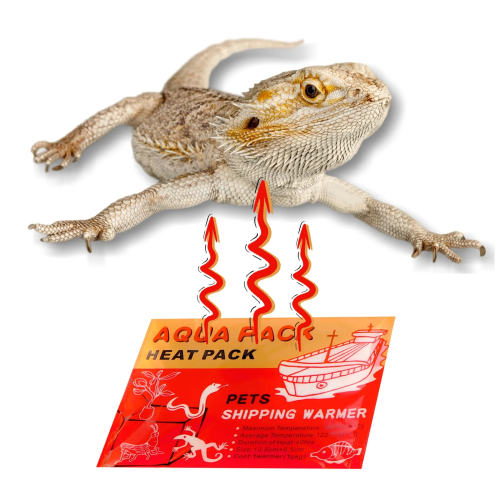 Aqua Heat Pack Gold x 200 - zestaw 200 ogrzewaczy | Idealne do terrarium