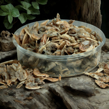 Terrario Repti Bites Shrimps 125ml - bogate w białko dla gadów