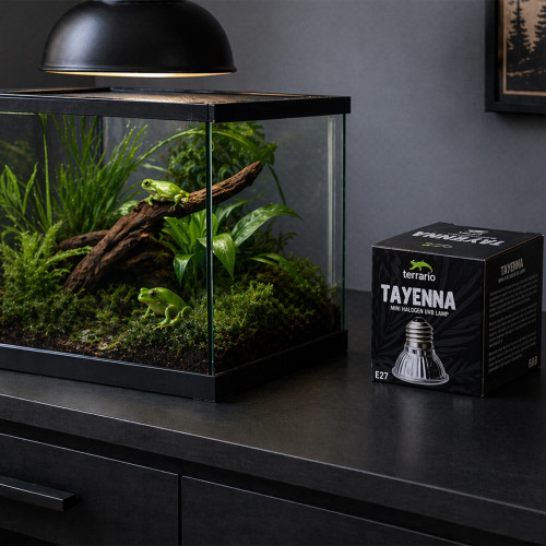 Mini halogen grzewczy Terrario Tayenna 25W UVB