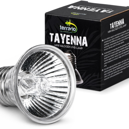 Mini halogen grzewczy Terrario Tayenna 25W UVB
