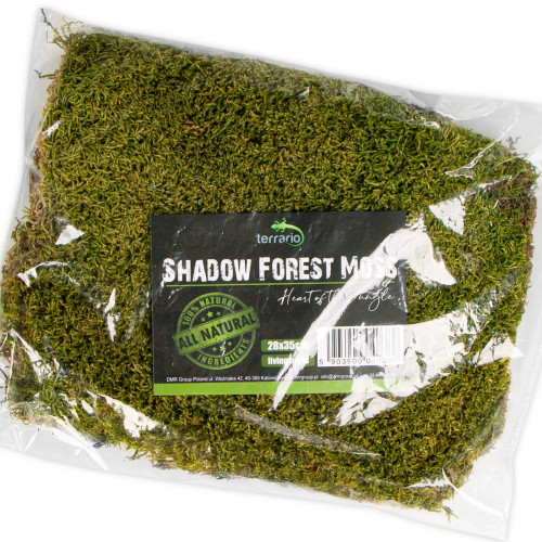 Terrario Shadow Forest Moss - mech naturalny 35x28cm | Idealny do terrarium