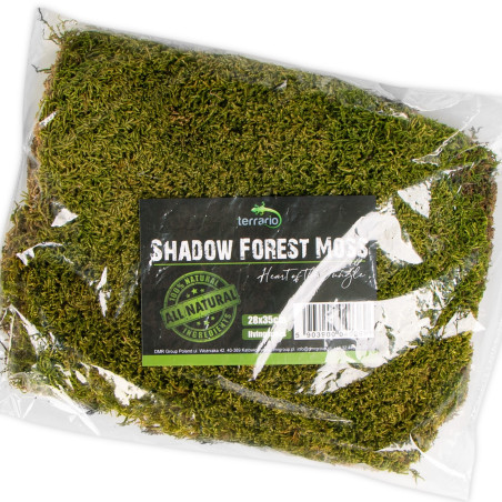 Terrario Shadow Forest Moss - mech naturalny 35x28cm | Idealny do terrarium
