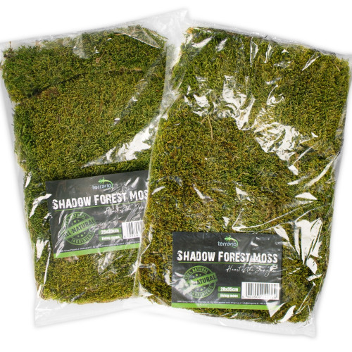 Terrario Shadow Forest Moss - mech naturalny 35x28cm | Idealny do terrarium