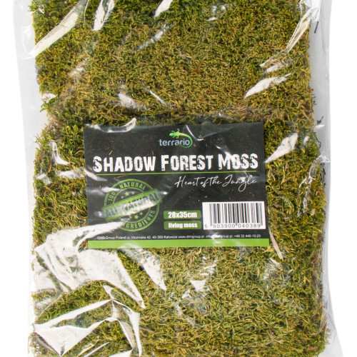 Terrario Shadow Forest Moss - mech naturalny 35x28cm | Idealny do terrarium