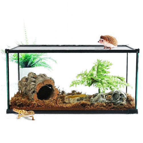 Repti-Zoo Simple Habitat - terrarium 31x21x20 | Idealne dla małych gadów, szybka wysyłka