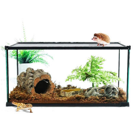 Repti-Zoo Simple Habitat - terrarium 31x21x20 | Idealne dla małych gadów, szybka wysyłka