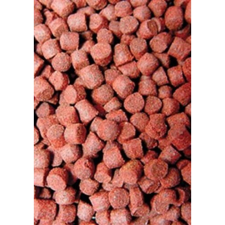 Ocean Nutrition Formula One Pellets S 100g - Idealny pokarm dla ryb morskich