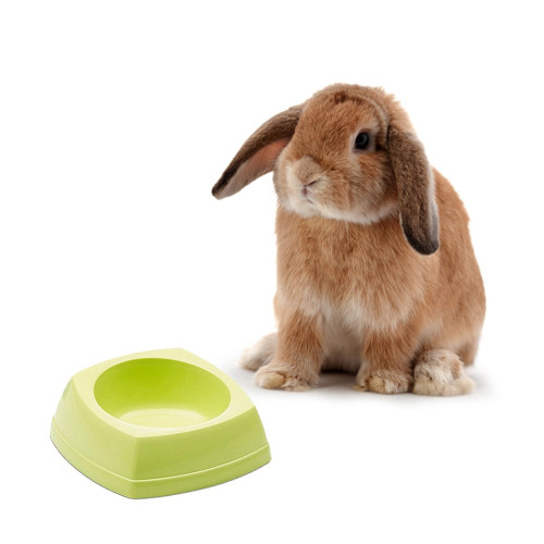 Savic Rodent Bowl 12x12x4,5cm - Stabilna i łatwa w czyszczeniu