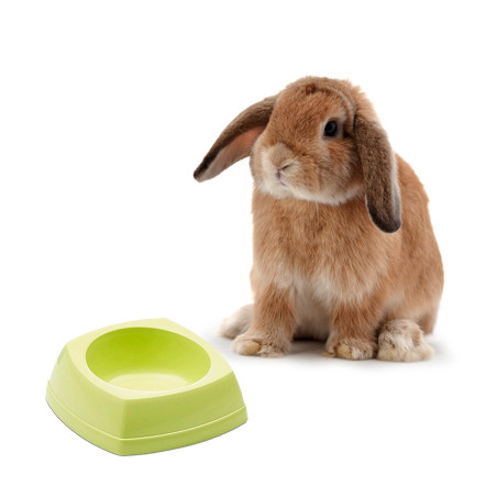 Savic Rodent Bowl 12x12x4,5cm - Stabilna i łatwa w czyszczeniu