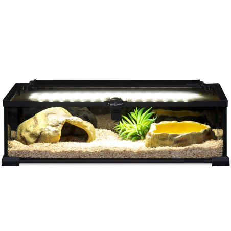 Terrarium Repti-Zoo Night Habitat 50×30×15 cm dla gadów nocnych