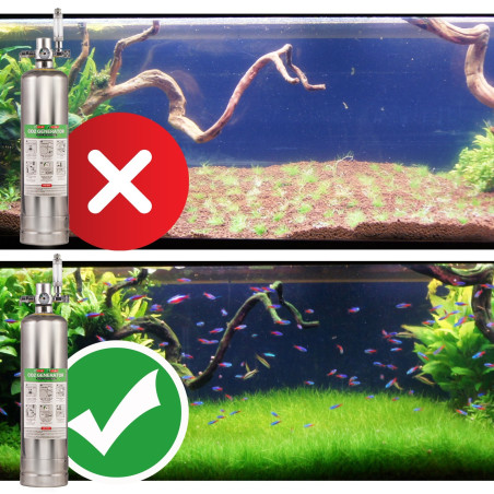 Zestaw CO2 Aquario Green Bubbles z elektrozaworem