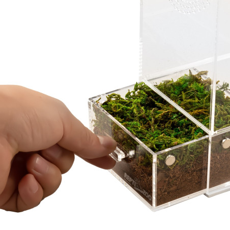 Repti-Zoo Easy Clean Acrylic Terrarium 10x10x20cm | Łatwe czyszczenie, idealne dla małych gadów
