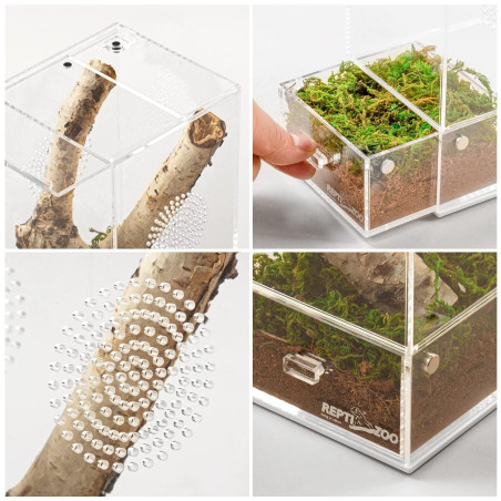 Repti-Zoo Easy Clean Acrylic Terrarium 10x10x20cm | Łatwe czyszczenie, idealne dla małych gadów