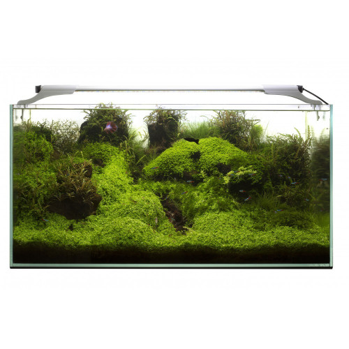 Aquael Leddy Slim 32W Plant 80-100 Czarny 2.0 - Idealne do akwarium roślinnego