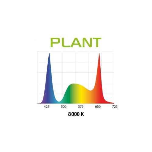 Aquael Leddy Slim 32W Plant 80-100 Czarny 2.0 - Idealne do akwarium roślinnego
