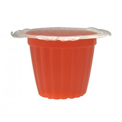 Pokarm w żelu dla gadów Komodo Jelly Pot mix smaków 30 szt.