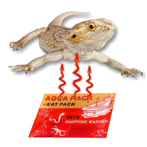 Aqua Heat Pack 40H Gold - 40h ciepła, idealny do transportu zwierząt