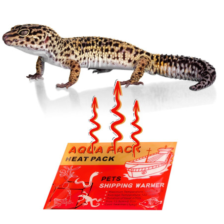 Aqua Heat Pack 40H Gold - 40h ciepła, idealny do transportu zwierząt
