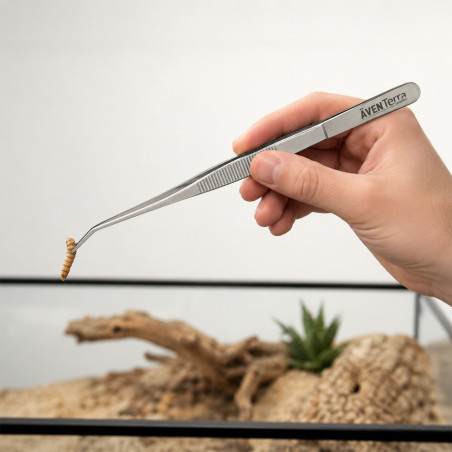Pęseta do terrarium Aventerra CLAWEY ARC 20 cm stalowa, zagięta