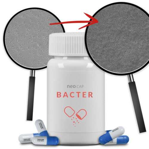 Neo Cap Bacter - 20 kapsułek bakterie i czyszczenie wody | Krystaliczna woda