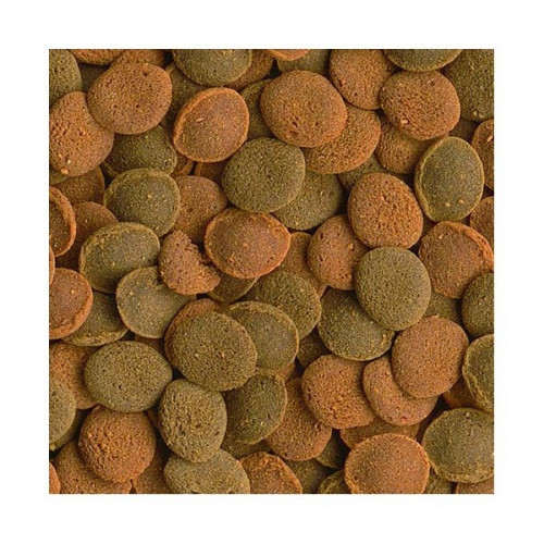 Tetra Wafer Mix 15g - pokarm dla ryb dennych | Zdrowe odżywianie dna