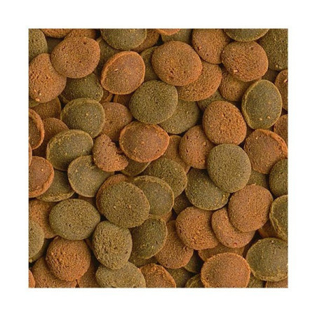 Tetra Wafer Mix 15g - pokarm dla ryb dennych | Zdrowe odżywianie dna