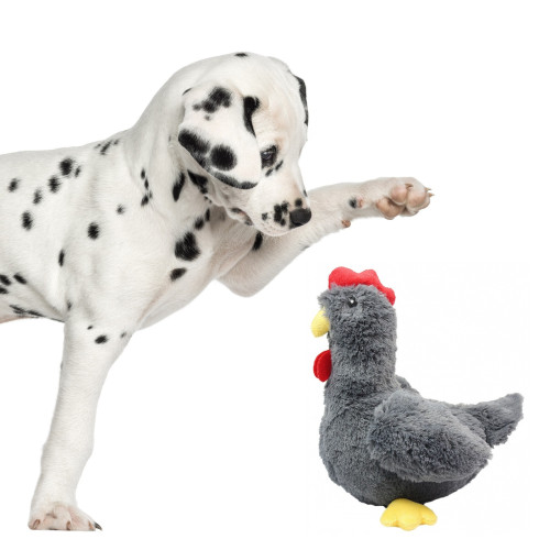 Pet Nova zabawka pluszowa - kura piszcząca 34cm | Idealna do zabawy, trwała i bezpieczna
