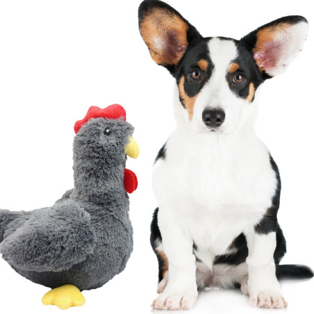 Pet Nova zabawka pluszowa - kura piszcząca 34cm | Idealna do zabawy, trwała i bezpieczna