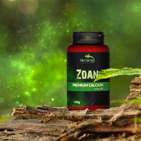 Terrario Zoan Calcium without D3 150g - Wzmacnia kości