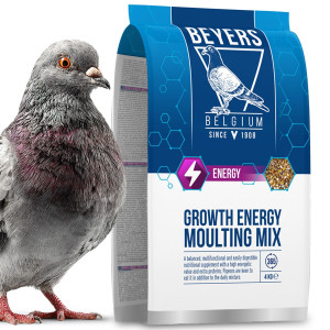 Beyers Growth Energy Moulting Mix 4kg - mieszanka białkowa