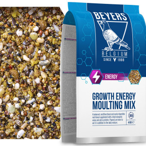 Beyers Growth Energy Moulting Mix 4kg - mieszanka białkowa