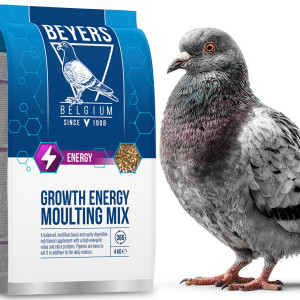 Beyers Growth Energy Moulting Mix 4kg - mieszanka białkowa