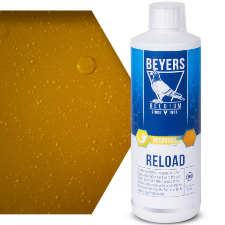 Beyers Reload 1000ml - koncentrat regeneracyjny