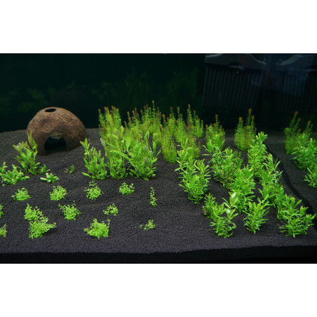 H.E.L.P Podłoże Advanced Soil Plants 8l - Idealne do akwarium roślinnego