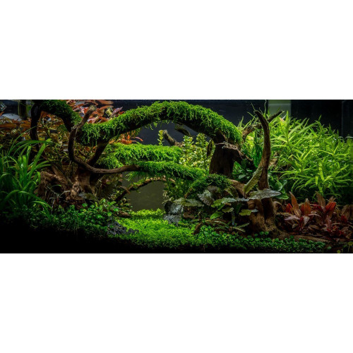 H.E.L.P Podłoże Advanced Soil Plants 8l - Idealne do akwarium roślinnego