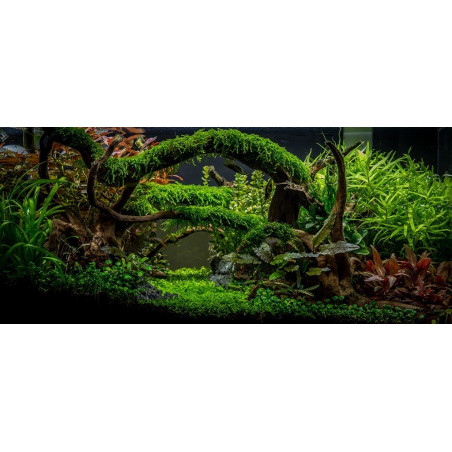 H.E.L.P Podłoże Advanced Soil Plants 8l - Idealne do akwarium roślinnego