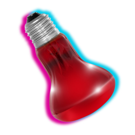 Żarówka grzewcza podczerwona Repti-Zoo Infrared Basking Spot 50W do terrarium