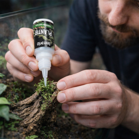 Klej do terrarium Terrario Plantir 20 g - do dekoracji kamieni i korzeni