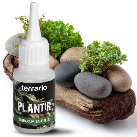 Klej do terrarium Terrario Plantir 20 g - do dekoracji kamieni i korzeni
