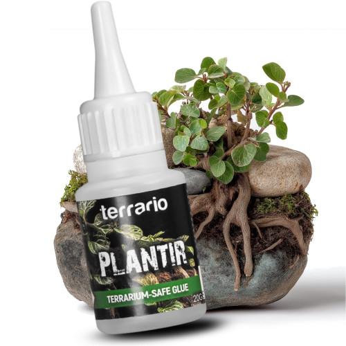 Klej do terrarium Terrario Plantir 20 g - do dekoracji kamieni i korzeni