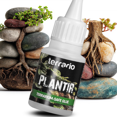 Klej do terrarium Terrario Plantir 20 g - do dekoracji kamieni i korzeni