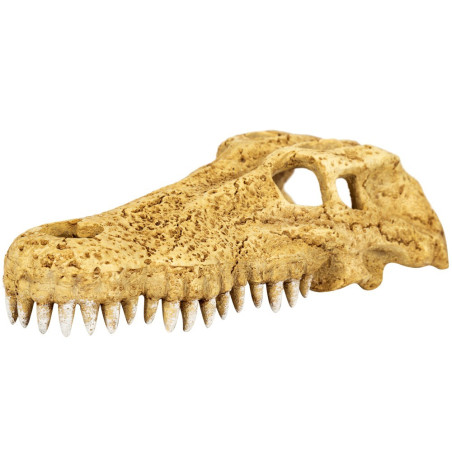 Repti-Zoo Crocodile Skull M - Realistyczna kryjówka do terrarium, szybka wysyłka