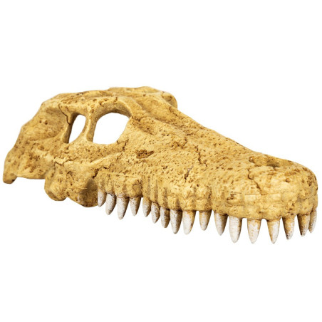 Repti-Zoo Crocodile Skull M - Realistyczna kryjówka do terrarium, szybka wysyłka