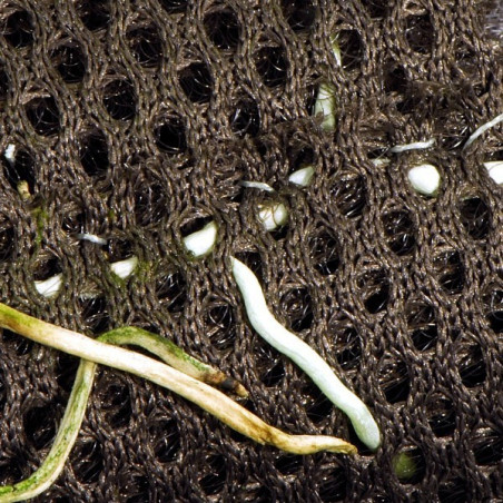 Wacool Rainforest Plant Cotton 290x290mm - hydrolon | Idealny do terrarium i hydroponiki