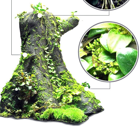 Wacool Rainforest Plant Cotton 290x290mm - hydrolon | Idealny do terrarium i hydroponiki