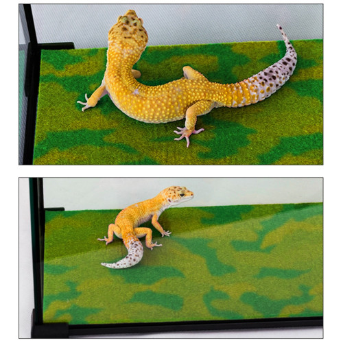 Resun Tropical Carpet Mat 80x30cm | Idealna do terrarium